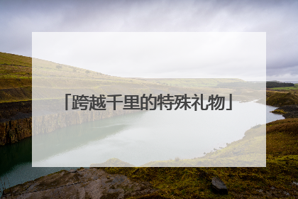 跨越千里的特殊礼物