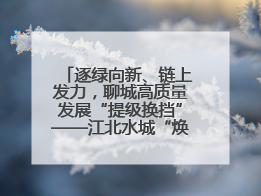 逐绿向新、链上发力，聊城高质量发展“提级换挡”——江北水城“焕新”记