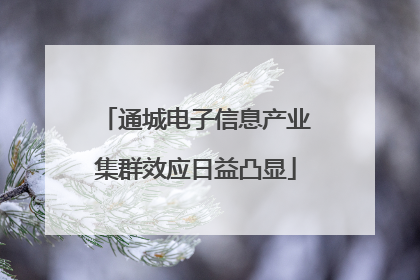通城电子信息产业集群效应日益凸显