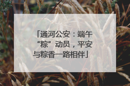 通河公安：端午“粽”动员，平安与粽香一路相伴