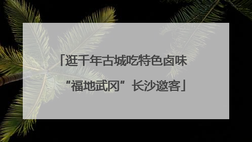 逛千年古城吃特色卤味 “福地武冈”长沙邀客