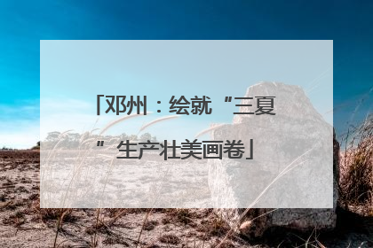 邓州：绘就“三夏”生产壮美画卷