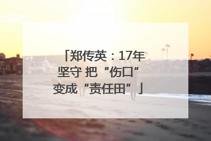 郑传英：17年坚守 把“伤口”变成“责任田”