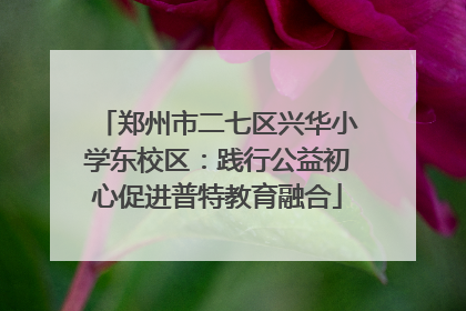 郑州市二七区兴华小学东校区：践行公益初心促进普特教育融合