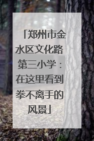 郑州市金水区文化路第三小学：在这里看到拳不离手的风景