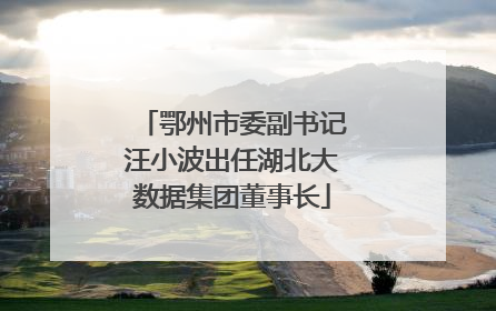 鄂州市委副书记汪小波出任湖北大数据集团董事长