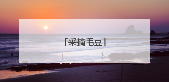 采摘毛豆
