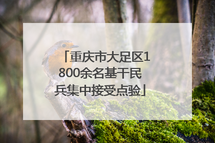 重庆市大足区1800余名基干民兵集中接受点验