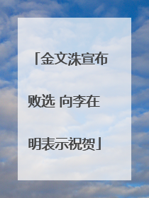 金文洙宣布败选 向李在明表示祝贺