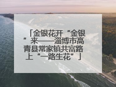 金银花开“金银”来——淄博市高青县常家镇共富路上“一路生花”