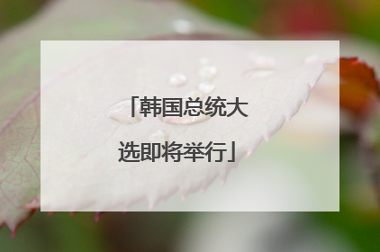 韩国总统大选即将举行