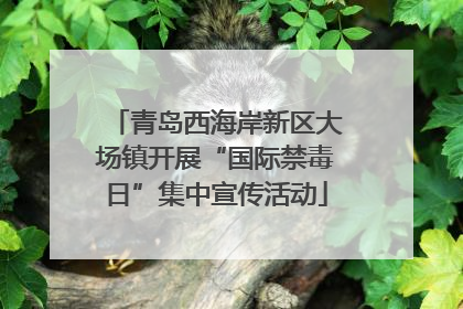 青岛西海岸新区大场镇开展“国际禁毒日”集中宣传活动
