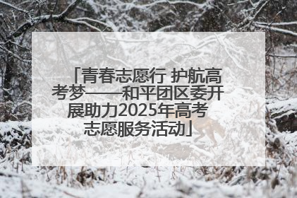 青春志愿行 护航高考梦——和平团区委开展助力2025年高考志愿服务活动