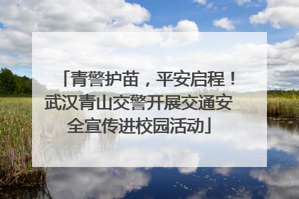 青警护苗，平安启程！武汉青山交警开展交通安全宣传进校园活动