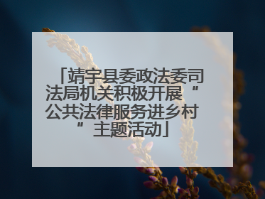 靖宇县委政法委司法局机关积极开展“公共法律服务进乡村”主题活动