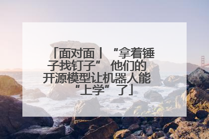 面对面丨“拿着锤子找钉子” 他们的开源模型让机器人能“上学”了