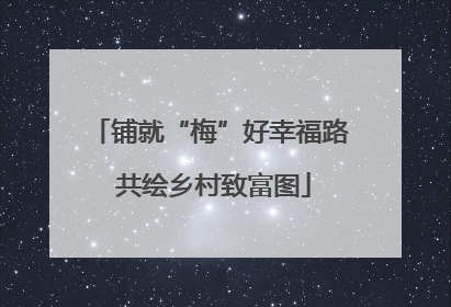 铺就“梅”好幸福路 共绘乡村致富图