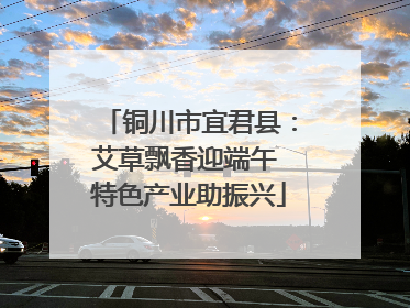 铜川市宜君县：艾草飘香迎端午 特色产业助振兴