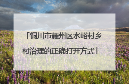 铜川市耀州区水峪村乡村治理的正确打开方式