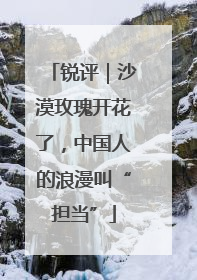 锐评｜沙漠玫瑰开花了，中国人的浪漫叫“担当”