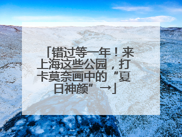 错过等一年！来上海这些公园，打卡莫奈画中的“夏日神颜”→
