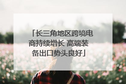 长三角地区跨境电商持续增长 高端装备出口势头良好