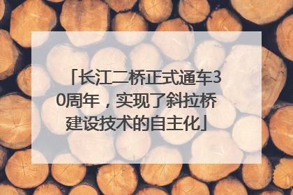 长江二桥正式通车30周年，实现了斜拉桥建设技术的自主化
