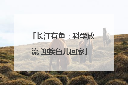 长江有鱼：科学放流 迎接鱼儿回家