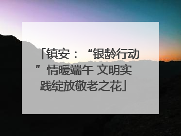 镇安：“银龄行动”情暖端午 文明实践绽放敬老之花