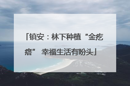 镇安：林下种植“金疙瘩” 幸福生活有盼头
