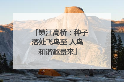 镇江高桥：种子落处飞鸟至 人鸟和谐趣景来