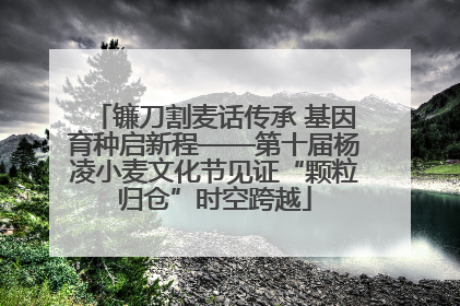 镰刀割麦话传承 基因育种启新程——第十届杨凌小麦文化节见证“颗粒归仓”时空跨越