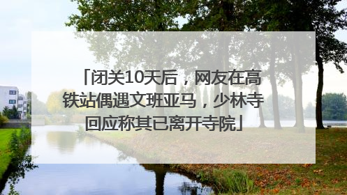 闭关10天后，网友在高铁站偶遇文班亚马，少林寺回应称其已离开寺院