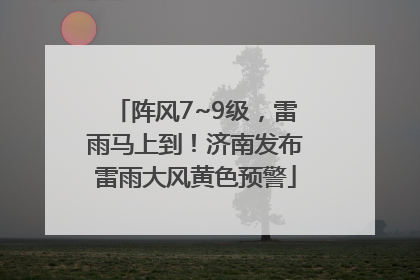 阵风7~9级，雷雨马上到！济南发布雷雨大风黄色预警