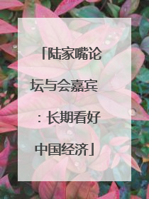 陆家嘴论坛与会嘉宾：长期看好中国经济
