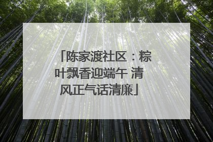 陈家渡社区：粽叶飘香迎端午 清风正气话清廉