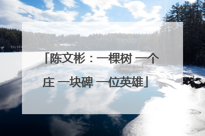 陈文彬：一棵树 一个庄 一块碑 一位英雄
