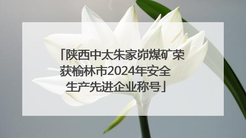 陕西中太朱家峁煤矿荣获榆林市2024年安全生产先进企业称号