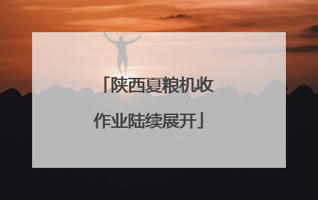 陕西夏粮机收作业陆续展开