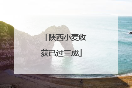 陕西小麦收获已过三成
