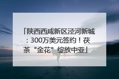 陕西西咸新区泾河新城：300万美元签约！茯茶“金花”绽放中亚