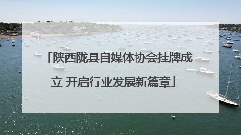 陕西陇县自媒体协会挂牌成立 开启行业发展新篇章