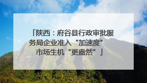 陕西：府谷县行政审批服务局企业准入“加速度” 市场生机“更盎然”