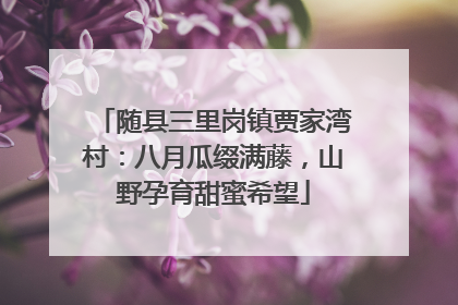 随县三里岗镇贾家湾村：八月瓜缀满藤，山野孕育甜蜜希望