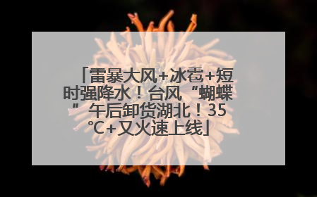 雷暴大风+冰雹+短时强降水！台风“蝴蝶”午后卸货湖北！35℃+又火速上线