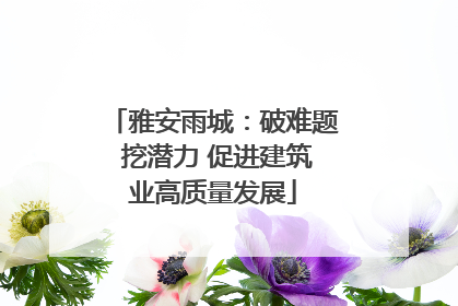 雅安雨城：破难题 挖潜力 促进建筑业高质量发展