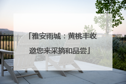 雅安雨城：黄桃丰收 邀您来采摘和品尝