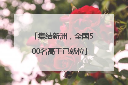 集结新洲，全国500名高手已就位