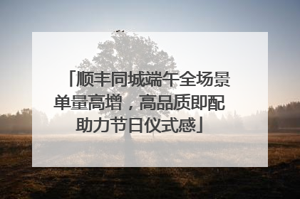 顺丰同城端午全场景单量高增，高品质即配助力节日仪式感