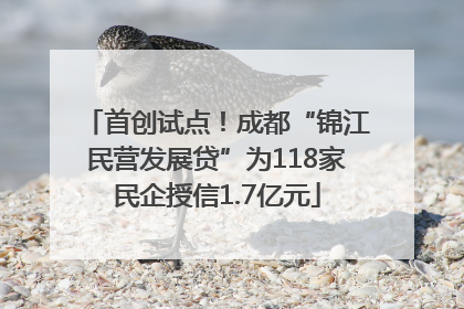 首创试点！成都“锦江民营发展贷”为118家民企授信1.7亿元